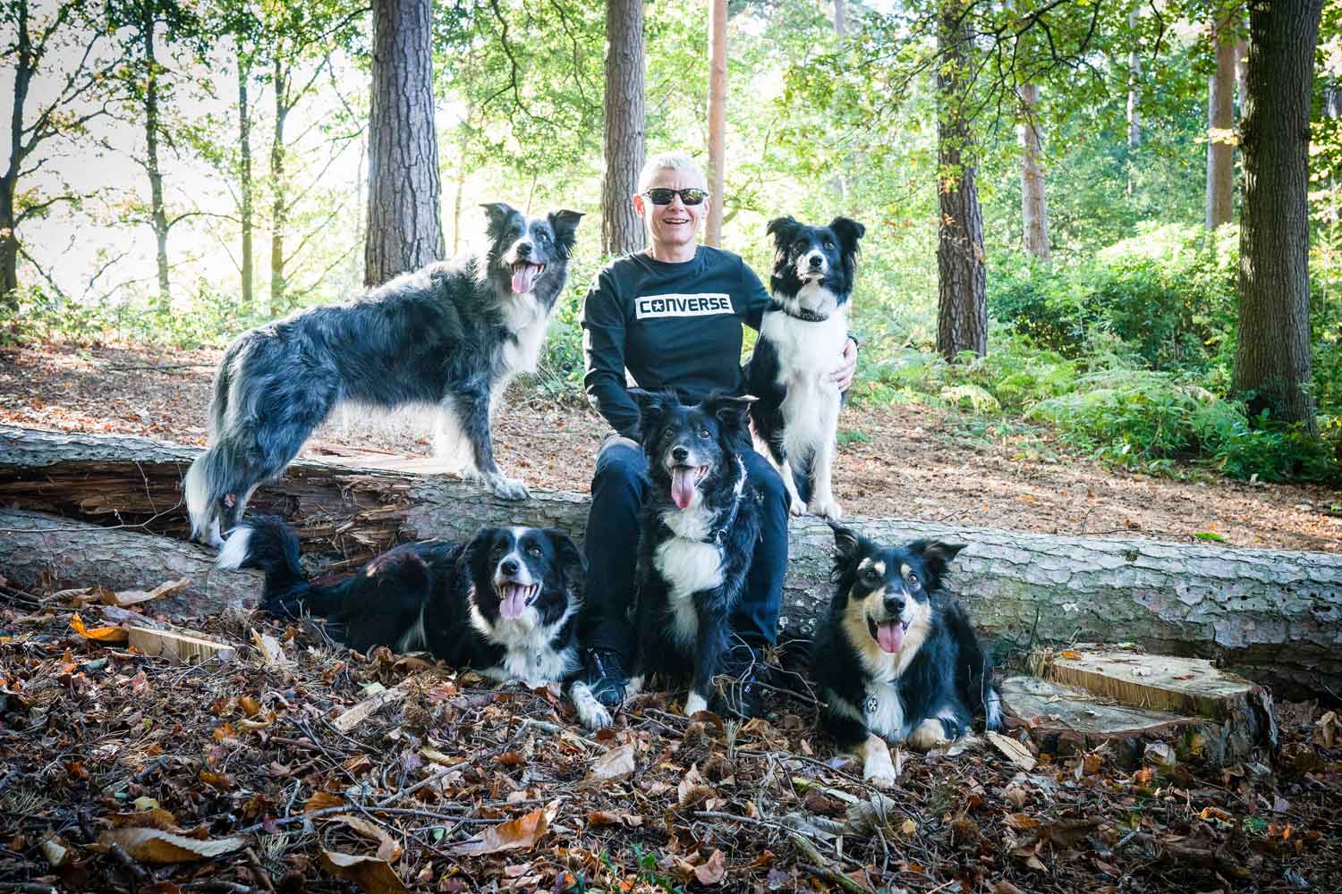 Dog trainer in forest with 5 dogs