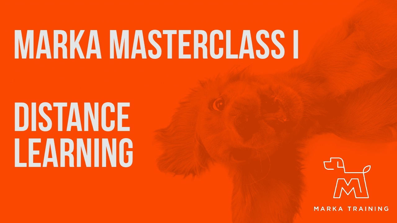 Marka Masterclass I distance learning